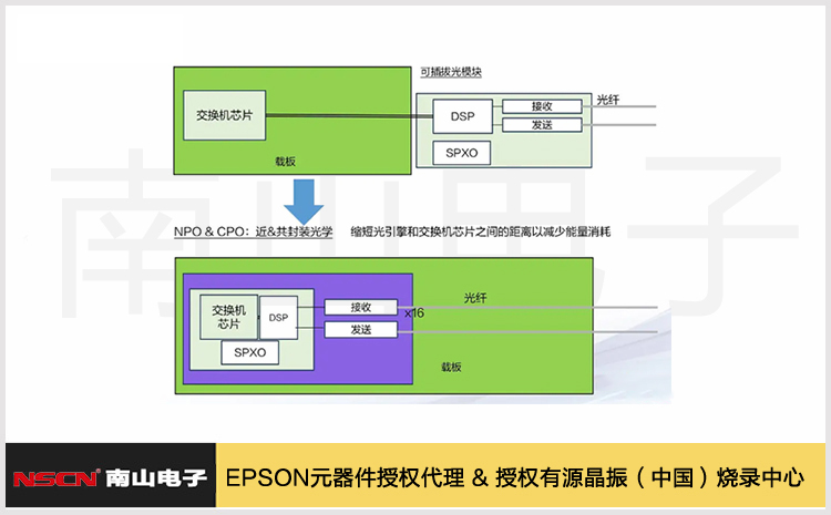 新应用浪潮下的SPXO：应对3.2T&NPO&CPO的时钟挑战
